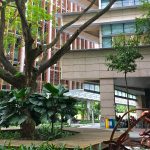 Condo maintenance fees and share value