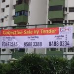 Image credit Pine Grove microsite