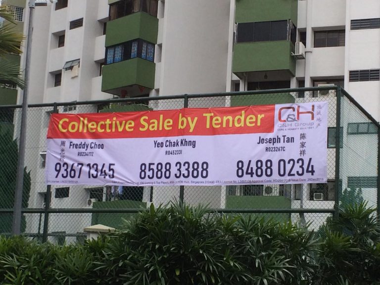 Image credit Pine Grove microsite