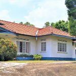 freehold detached bungalow