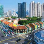 The Lavender Collection