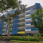 freehold strata-titled property